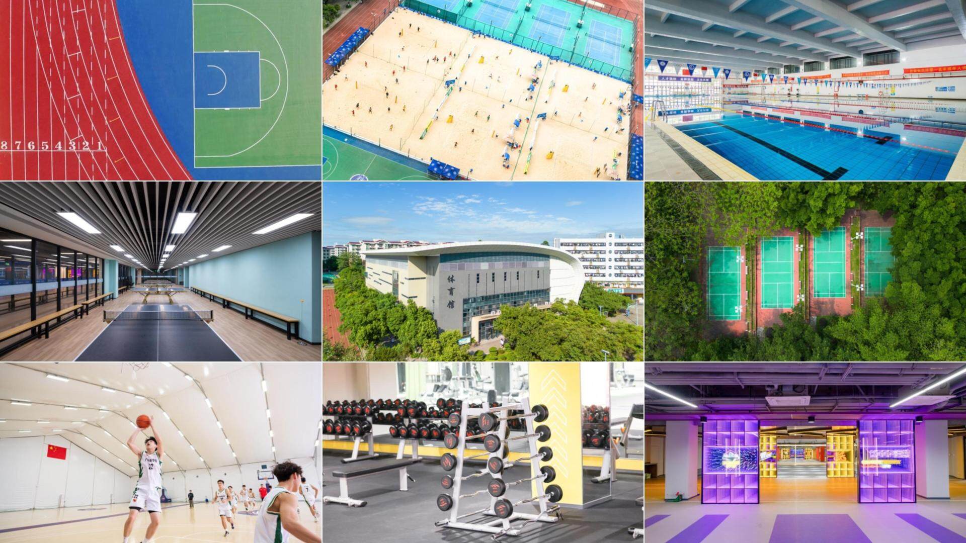 专业教育, 学校建立了 专业教育, 学校建立了