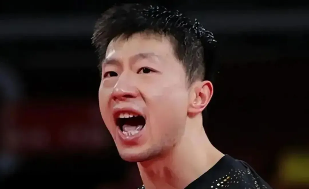 再次挥拍拼, 面孔, 岁进入国家